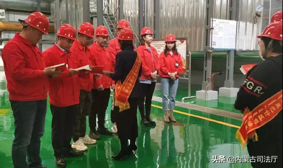 开弓没有回头箭打一正确生肖请全面2释义、解释与落实、科学解答解释落实